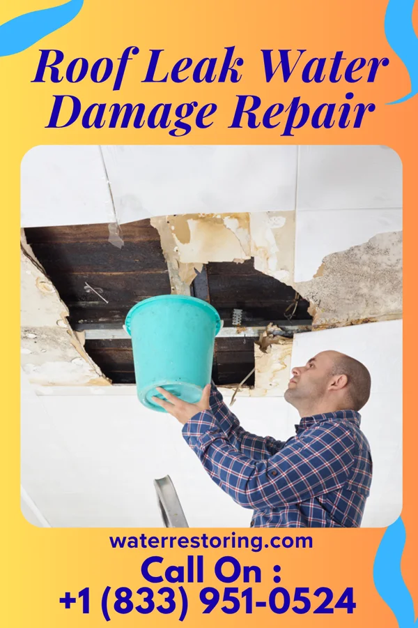 Roof Leak Water Damage Repair in Apple Valley, UT