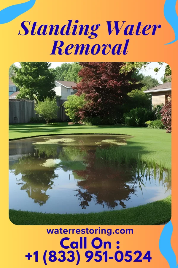 Standing Water Removal in Apple Valley, UT